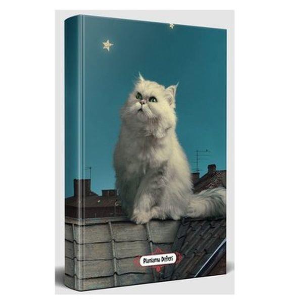 Pamuk - Planlama Defteri