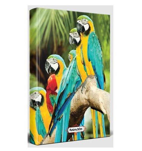 Papağan Ailesi - Planlama Defteri