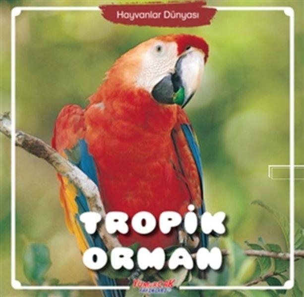 Tropik Orman - Hayvanlar Dünyası