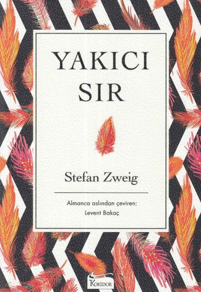 Yakıcı Sır - Ciltsiz