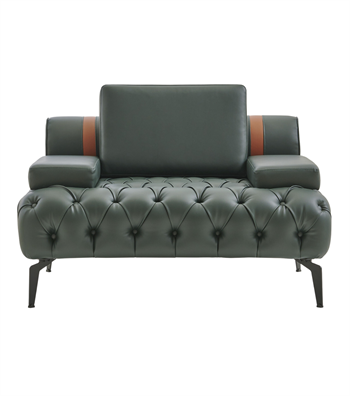 Alex Kapitone Berjer Deri Yeşil