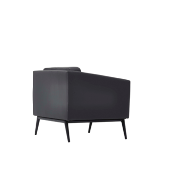 Daria Metal Ayak Siyah Berjer