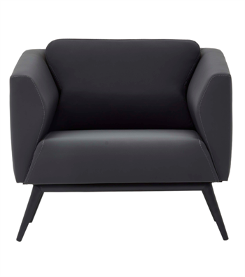 Daria Metal Ayak Siyah Berjer