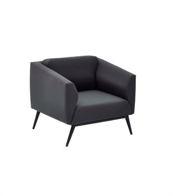 Daria Metal Ayak Siyah Berjer