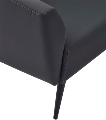 Daria Metal Ayak Siyah Berjer