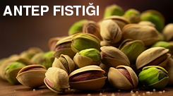 antep fıstığı