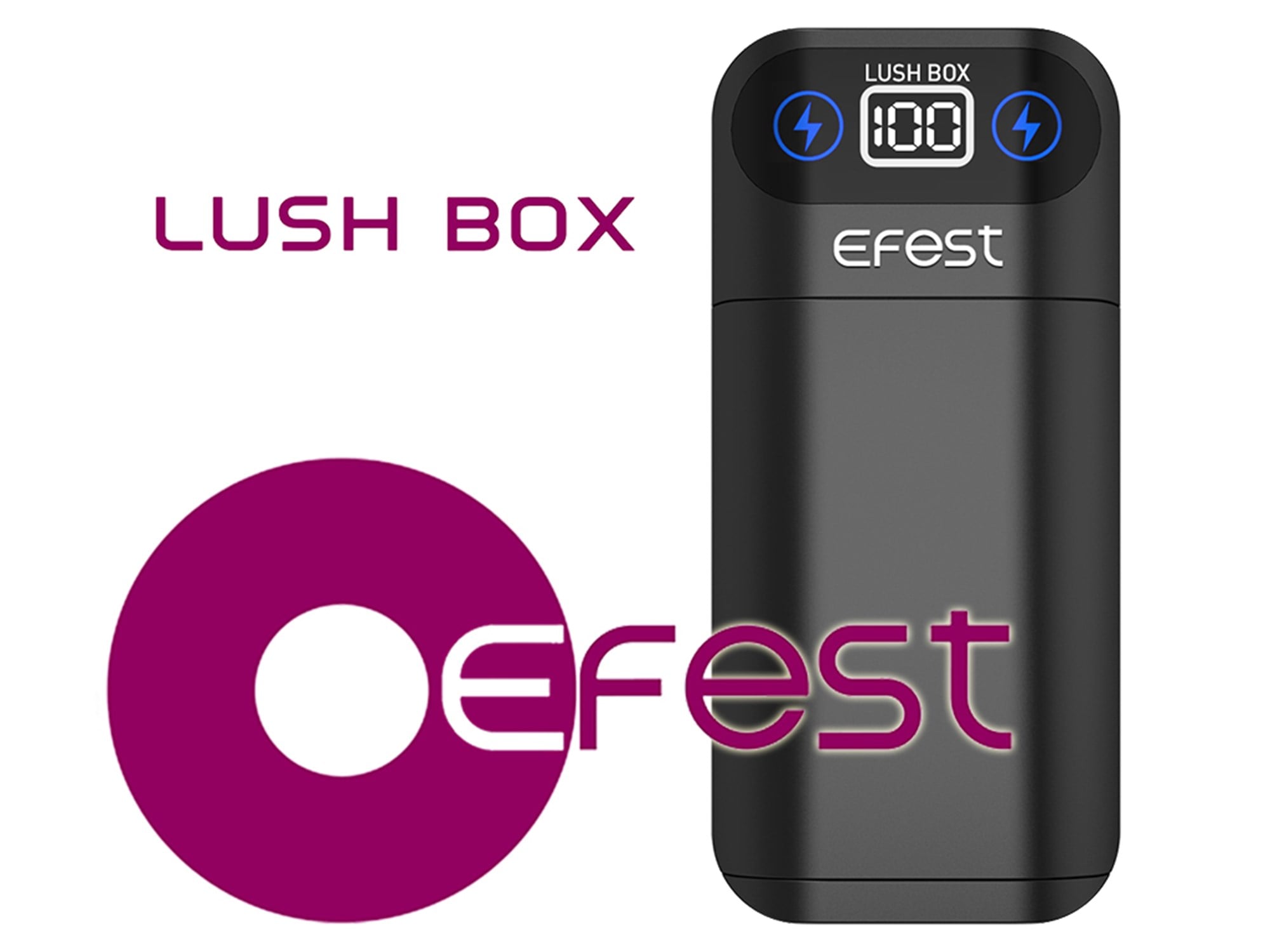 Efest 18650 3.6V -3.7V Lush Box Lityum iyon piller için Powerbank şarj cihazı