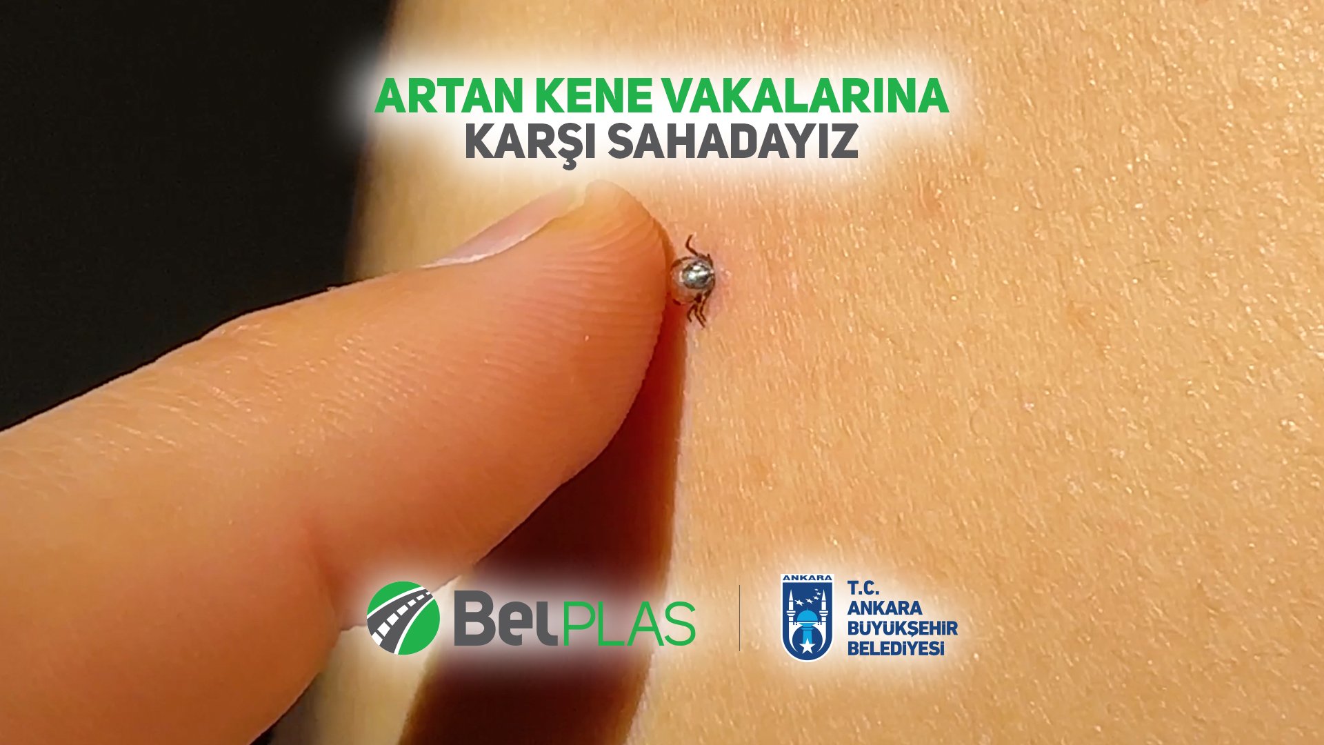 Ankara’da Artan Kene Vakalarına Karşı BelPlas A.Ş. Sahada