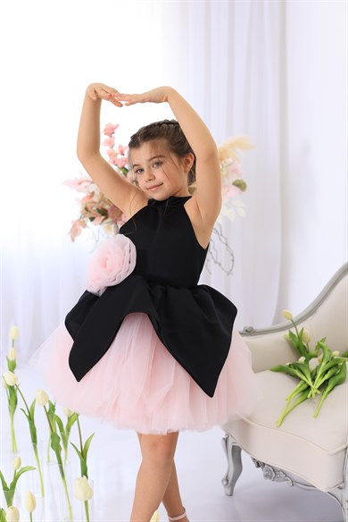 BLACK SWAN DRESS