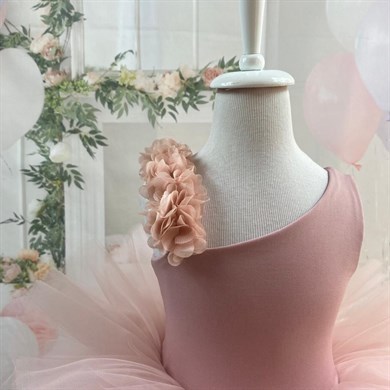 CELESTE TUTU DRESS