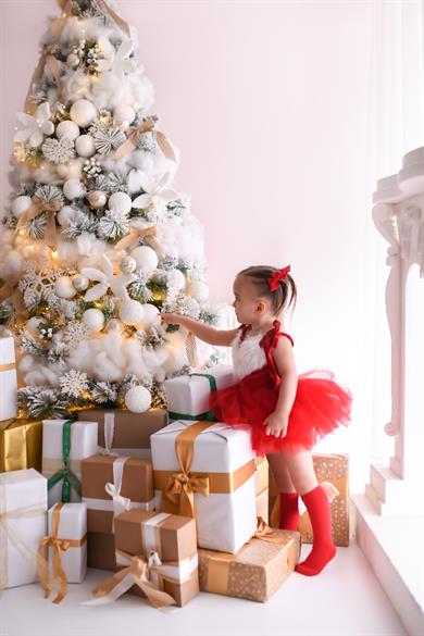 SANTA TUTU DRESS