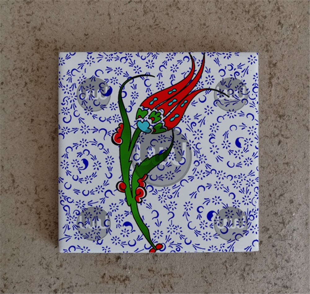10 X 10 Çini Karo Katalog Kodu E5