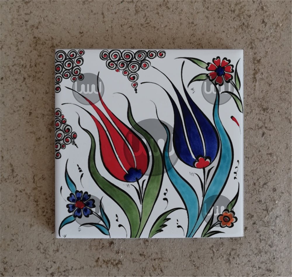 10 X 10 Çini Karo Katalog Kodu OOO6