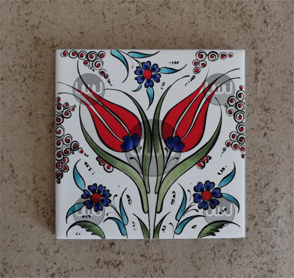 10 X 10 Çini Karo Katalog Kodu OOO8