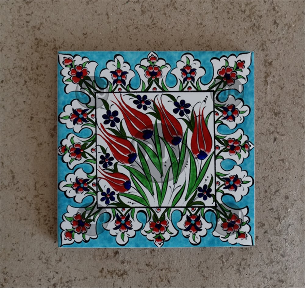 10 X 10 Çini Karo Katalog Kodu RR5