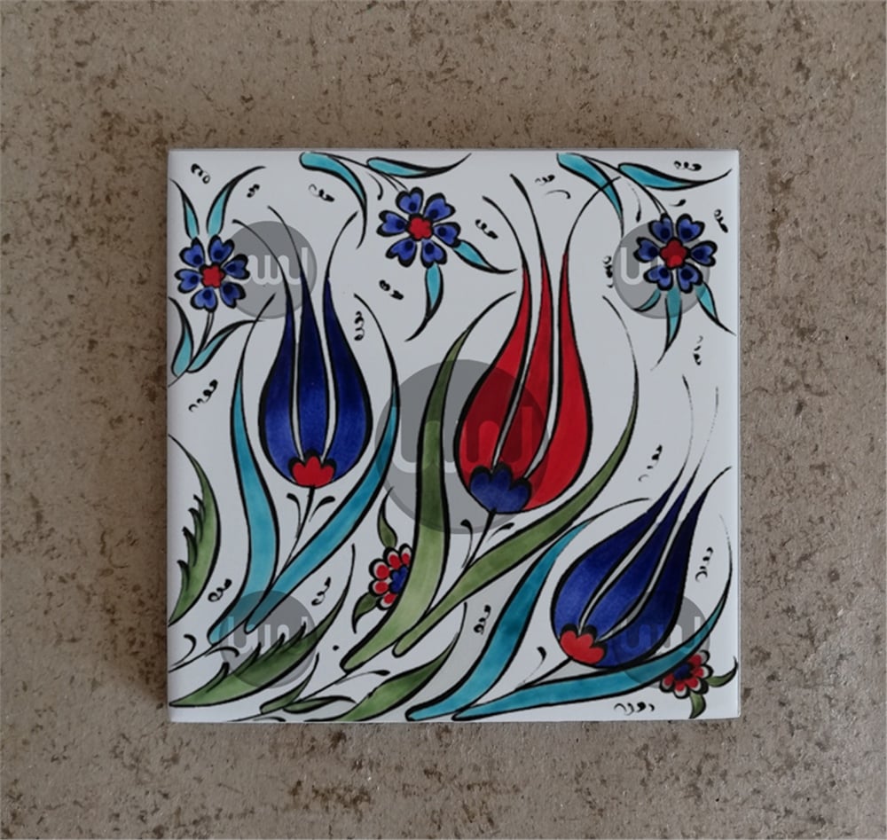 10 X 10 Çini Karo Katalog Kodu RRR8