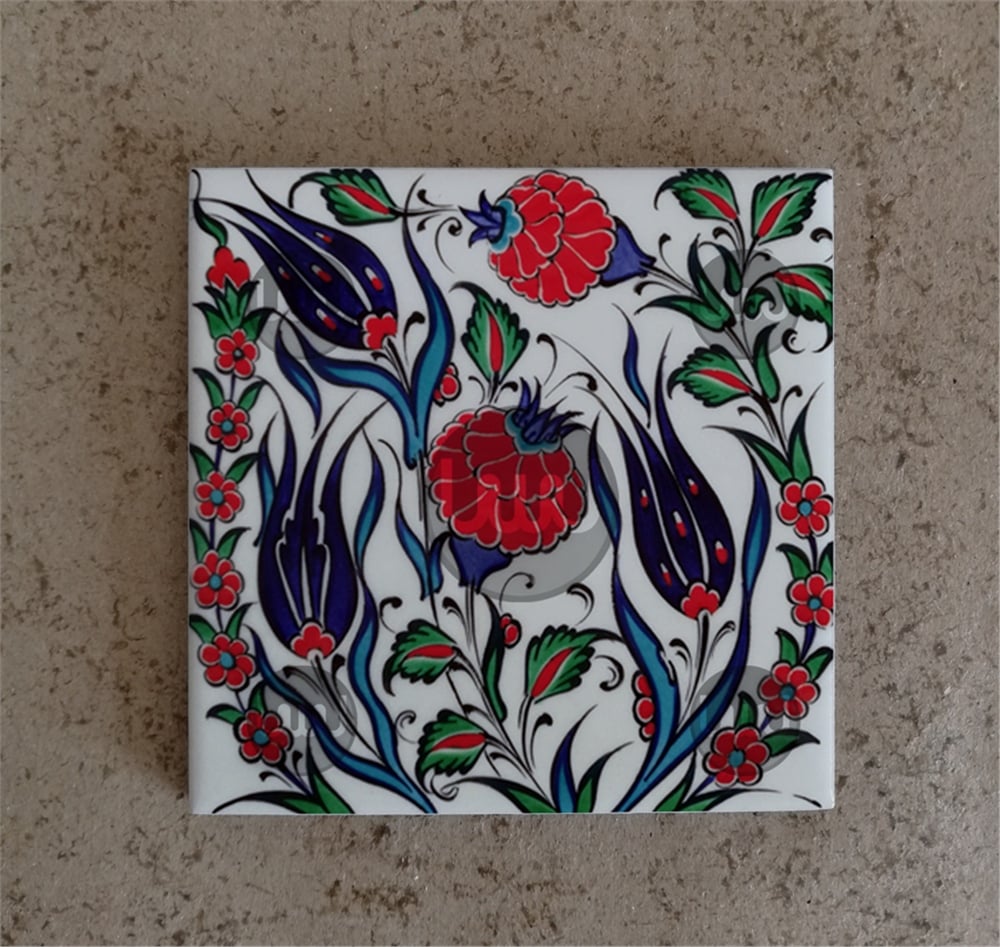 10 X 10 Çini Karo Katalog Kodu YYY6