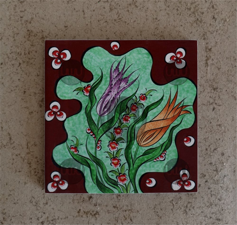 20 X 20 Çini Karo Katalog Kodu AAA2