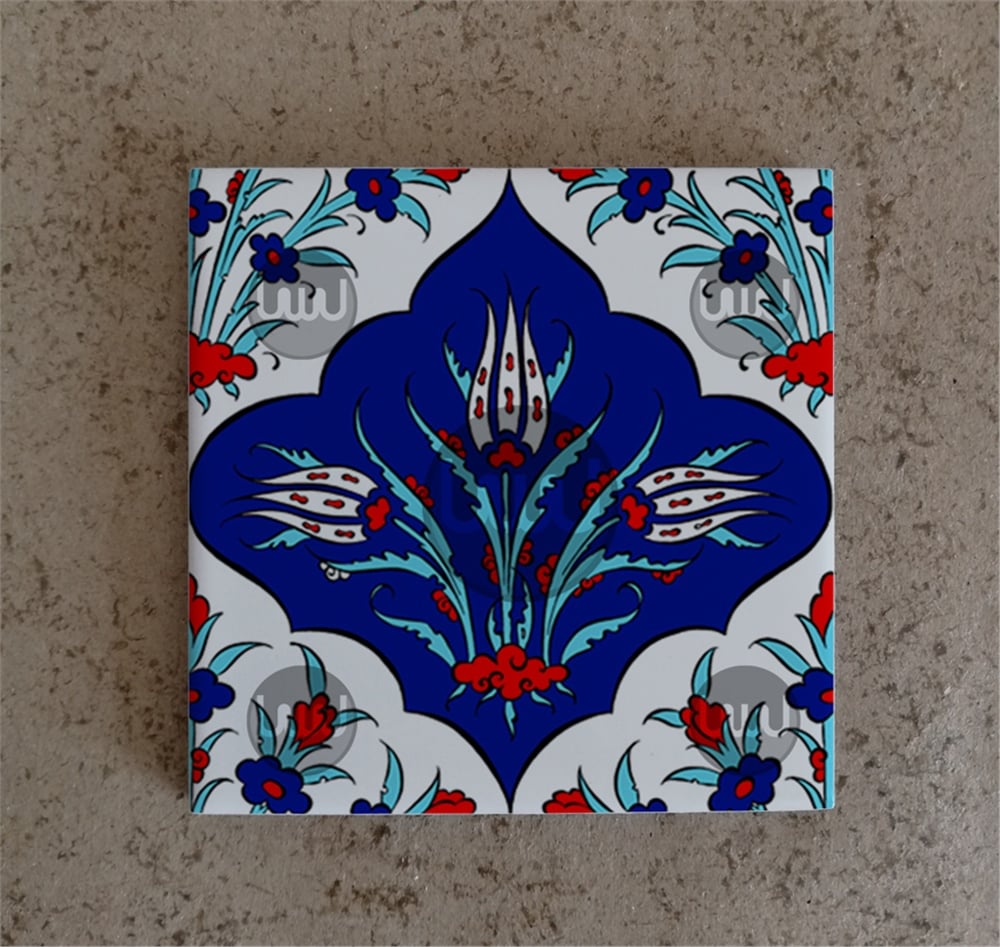 20 X 20 Çini Karo Katalog Kodu C8