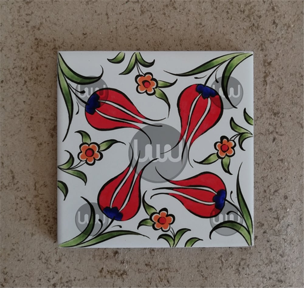 20 X 20 Çini Karo Katalog Kodu QQQ1