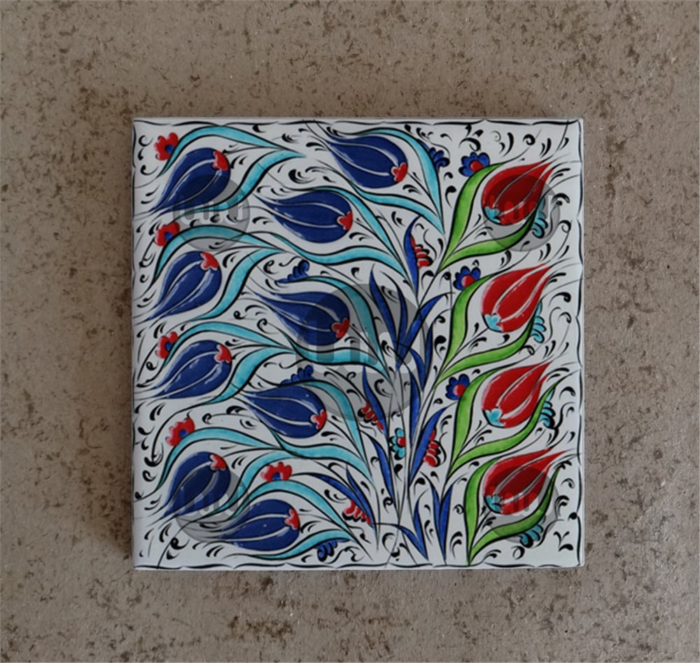 20 X 20 Çini Karo Katalog Kodu VV3