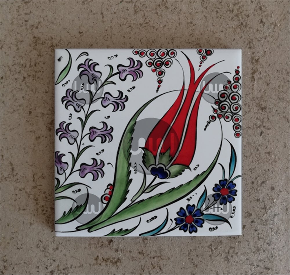 5X5 Çini Karo Katalog Kodu SSS2