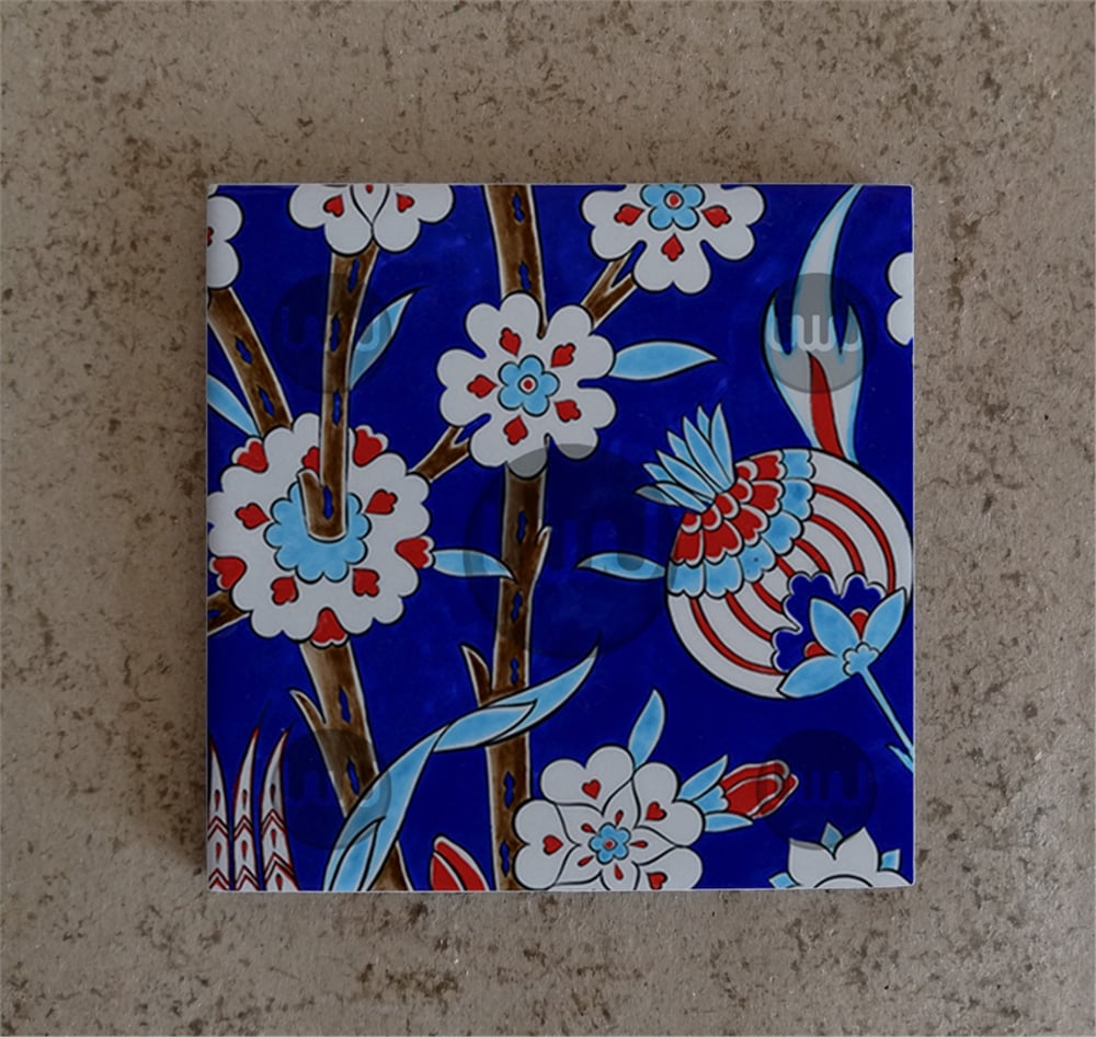 10 X 10 Çini Karo Katalog Kodu DDD5