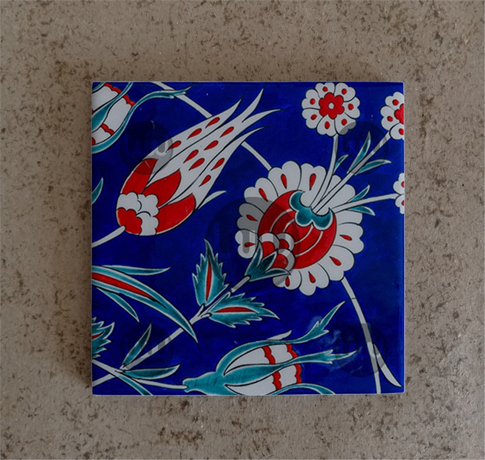 10 X 10 Çini Karo Katalog Kodu GG6