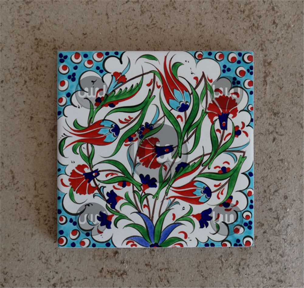 10 X 10 Çini Karo Katalog Kodu GGG6