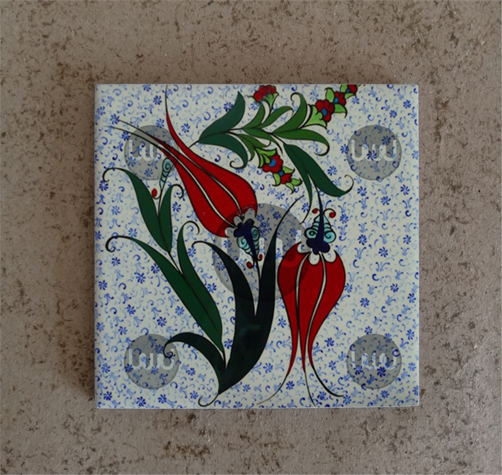 10 X 10 Çini Karo Katalog Kodu OO1