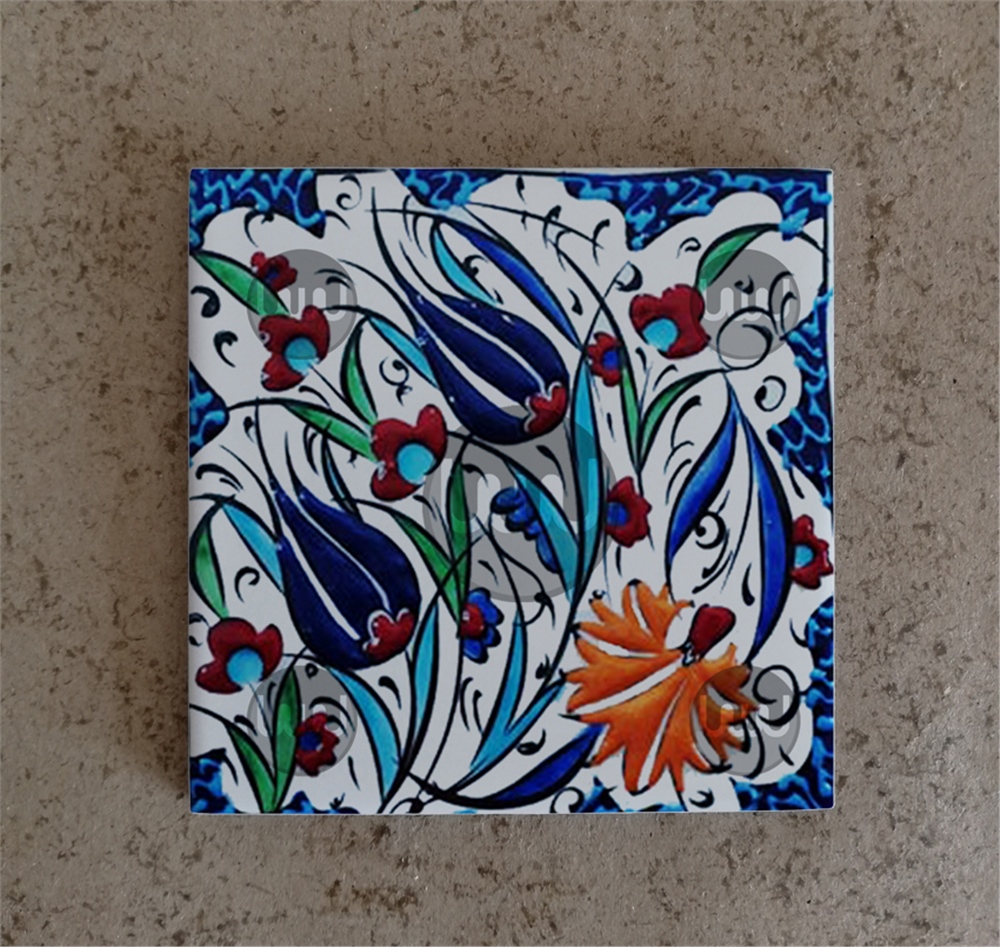 10 X 10 Çini Karo Katalog Kodu OO5