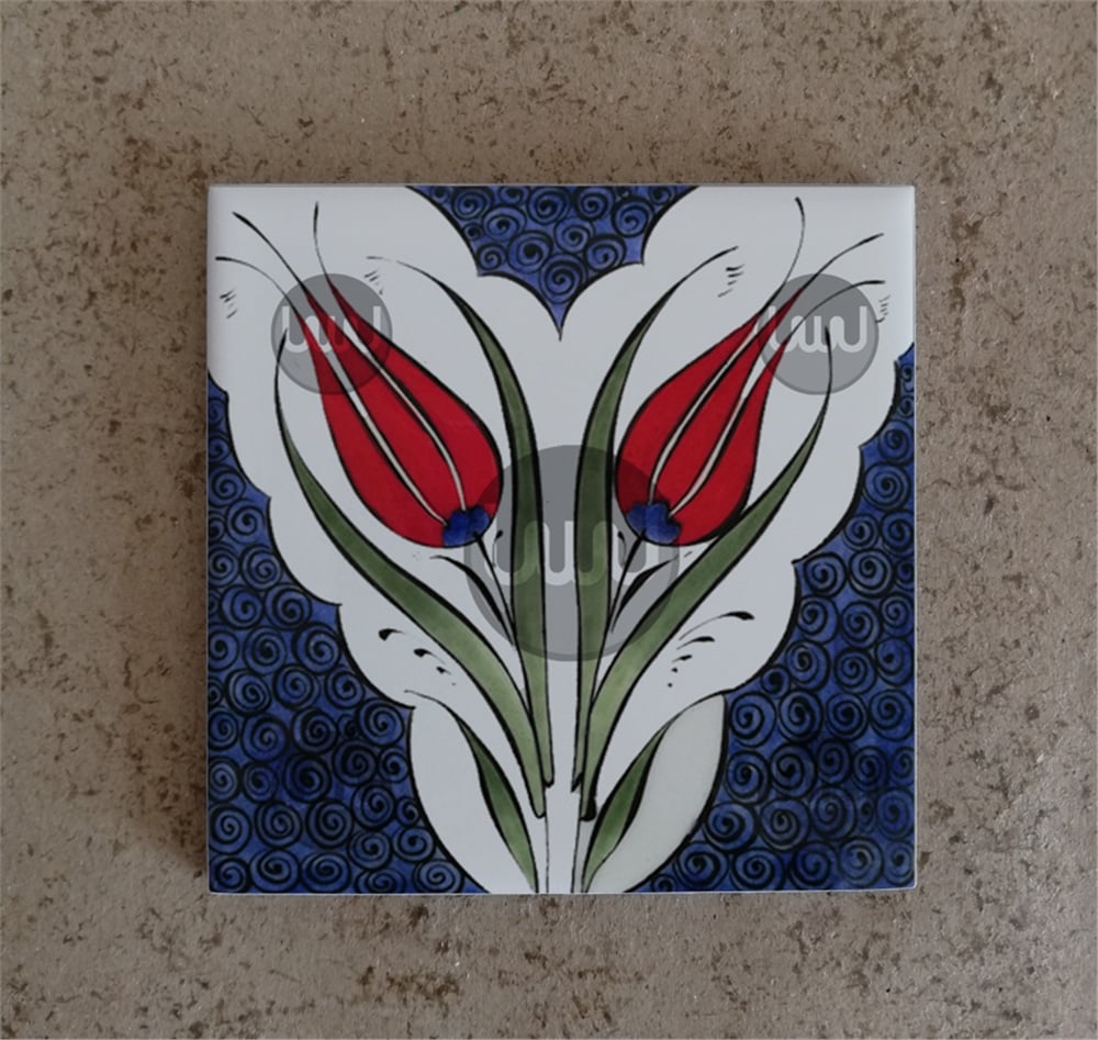 10 X 10 Çini Karo Katalog Kodu PPP8