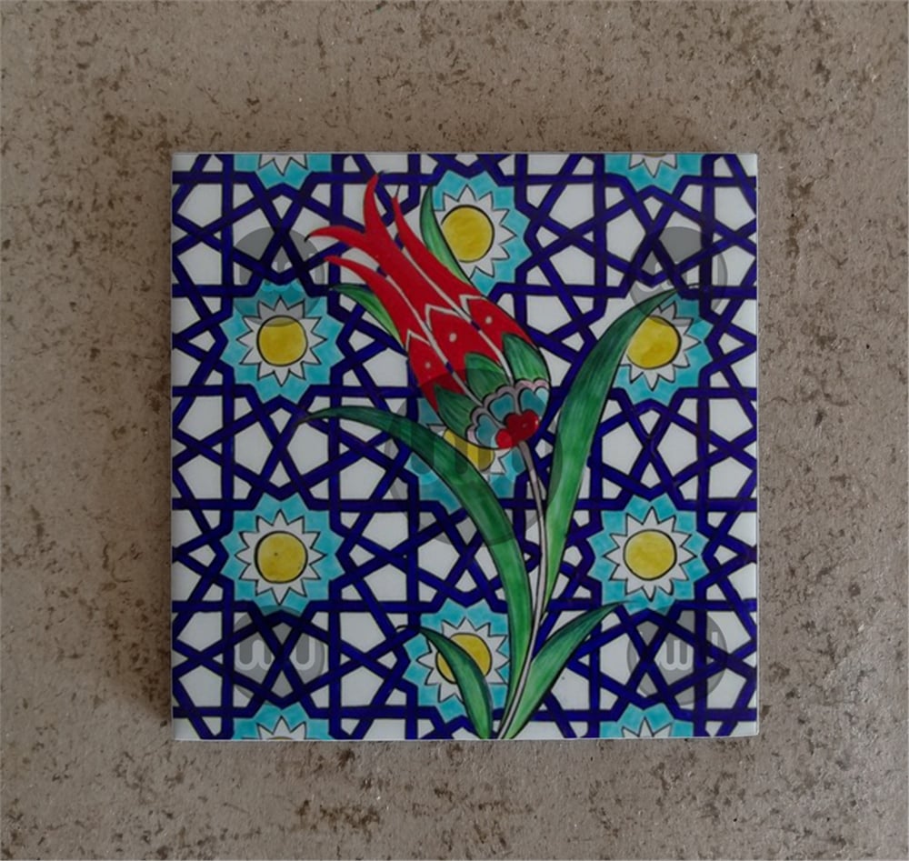 10 X 10 Çini Karo Katalog Kodu RR1