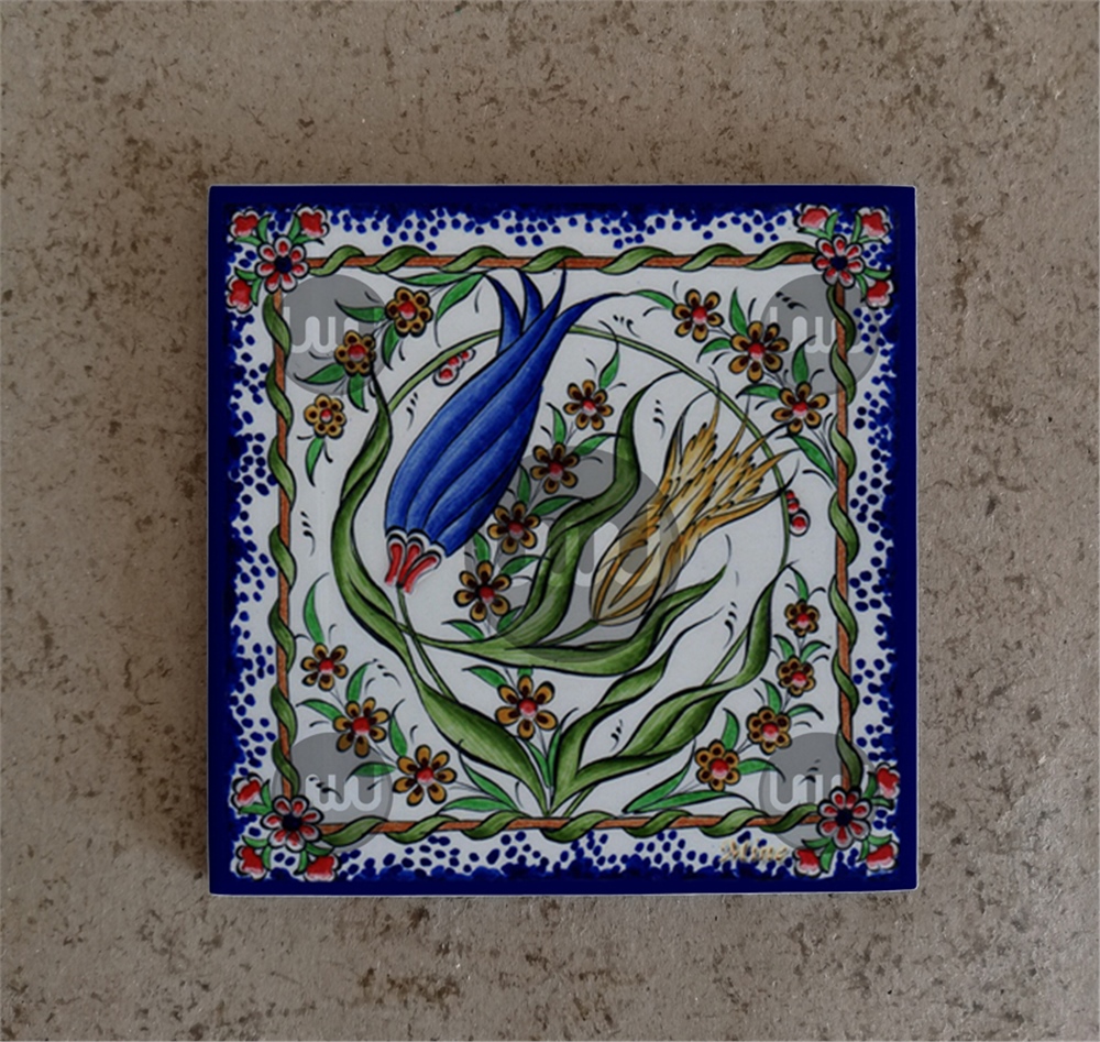 10 X 10 Çini Karo Katalog Kodu S1