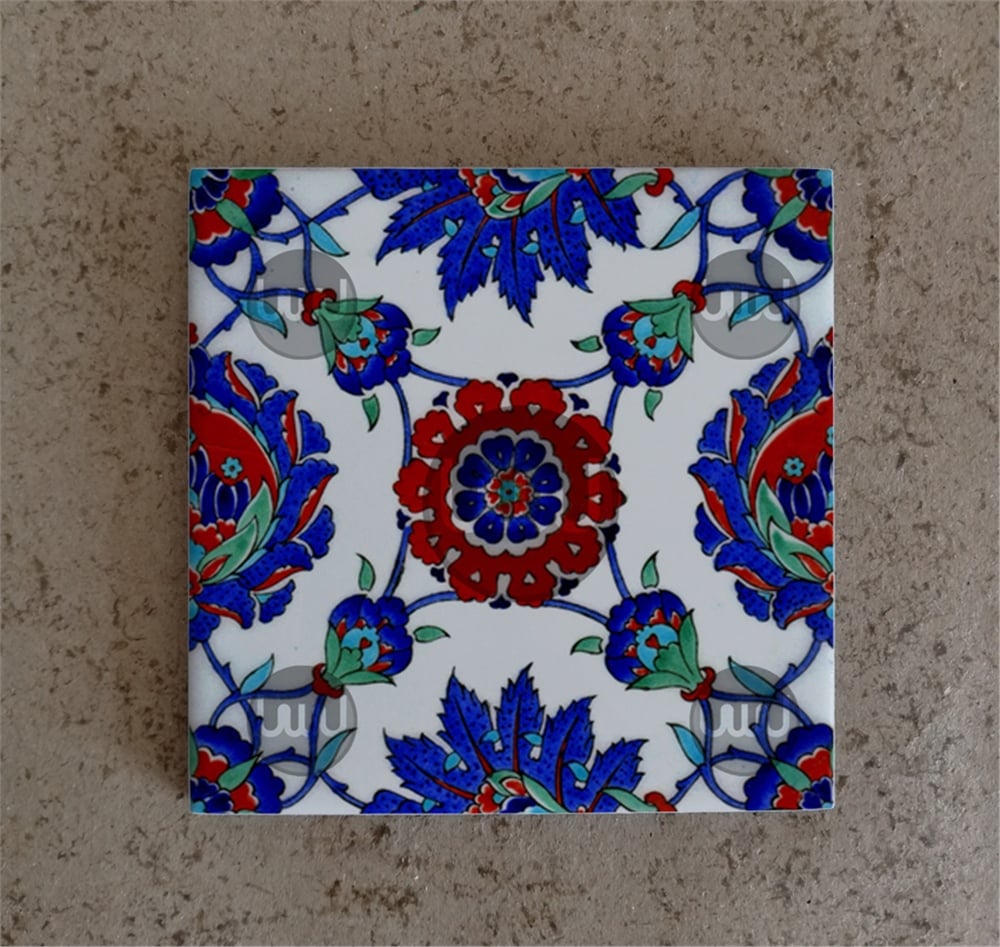 10 X 10 Çini Karo Katalog Kodu VV1
