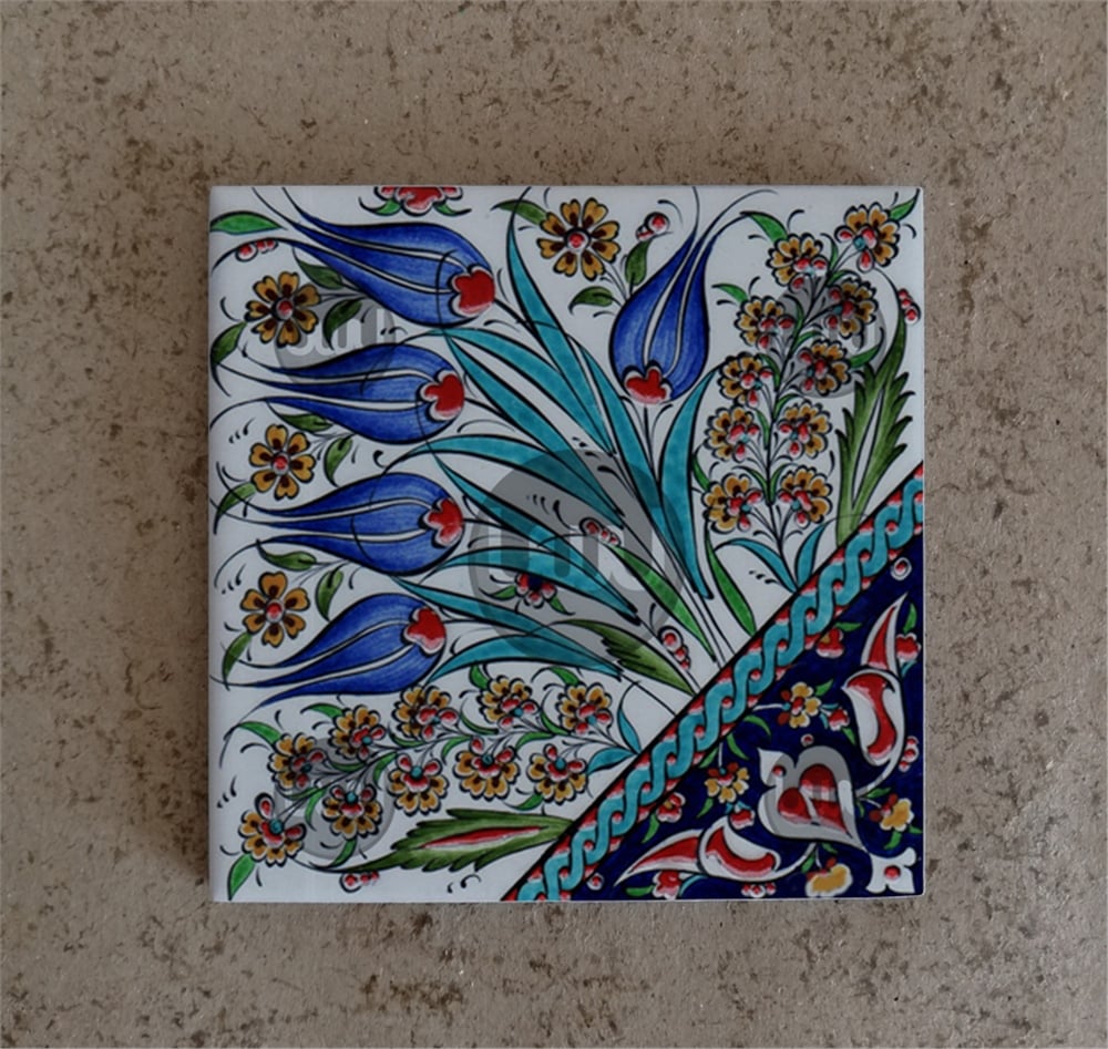10 X 10 Çini Karo Katalog Kodu XX2