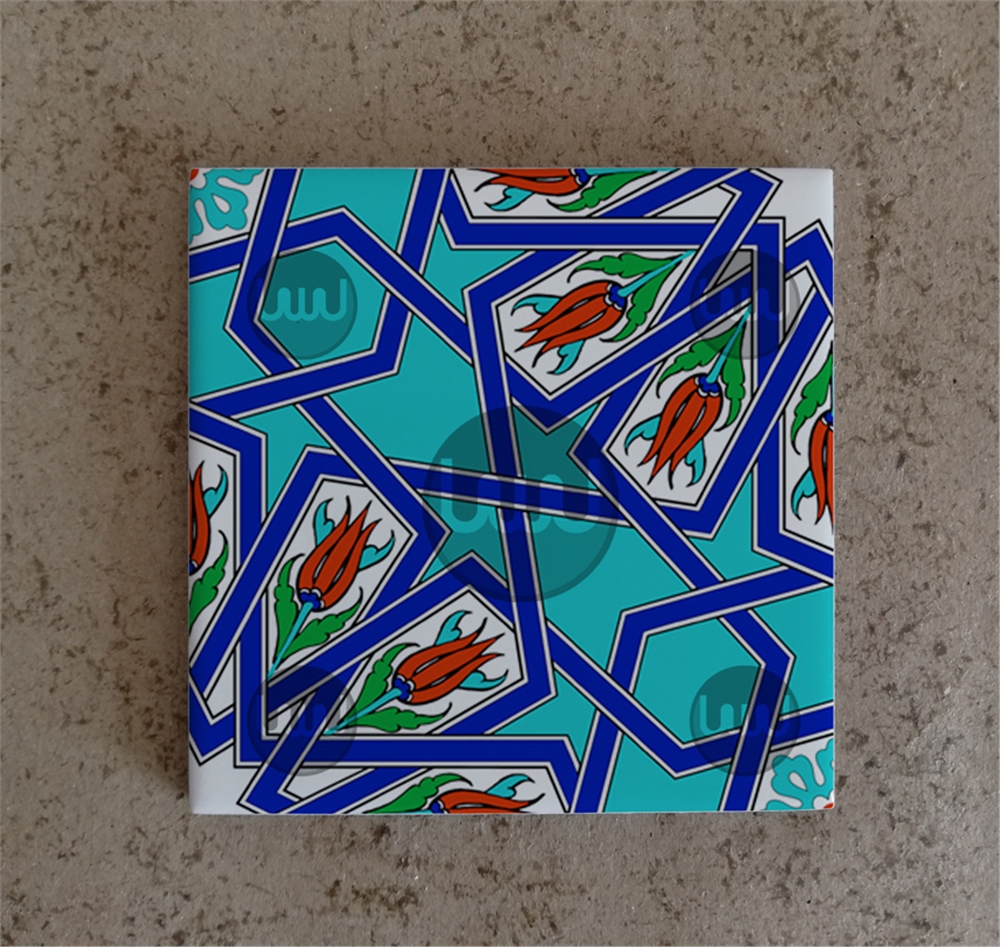 20 X 20 Çini Karo Katalog Kodu C5