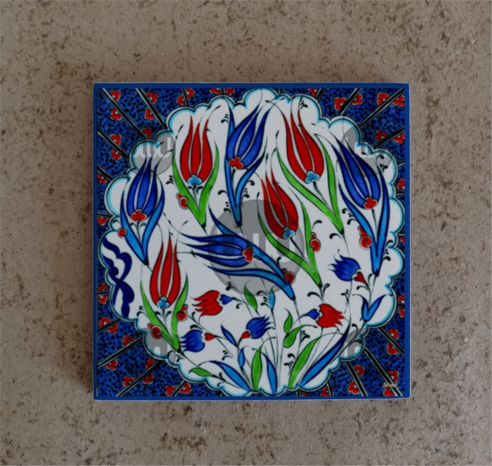 20 X 20 Çini Karo Katalog Kodu U2