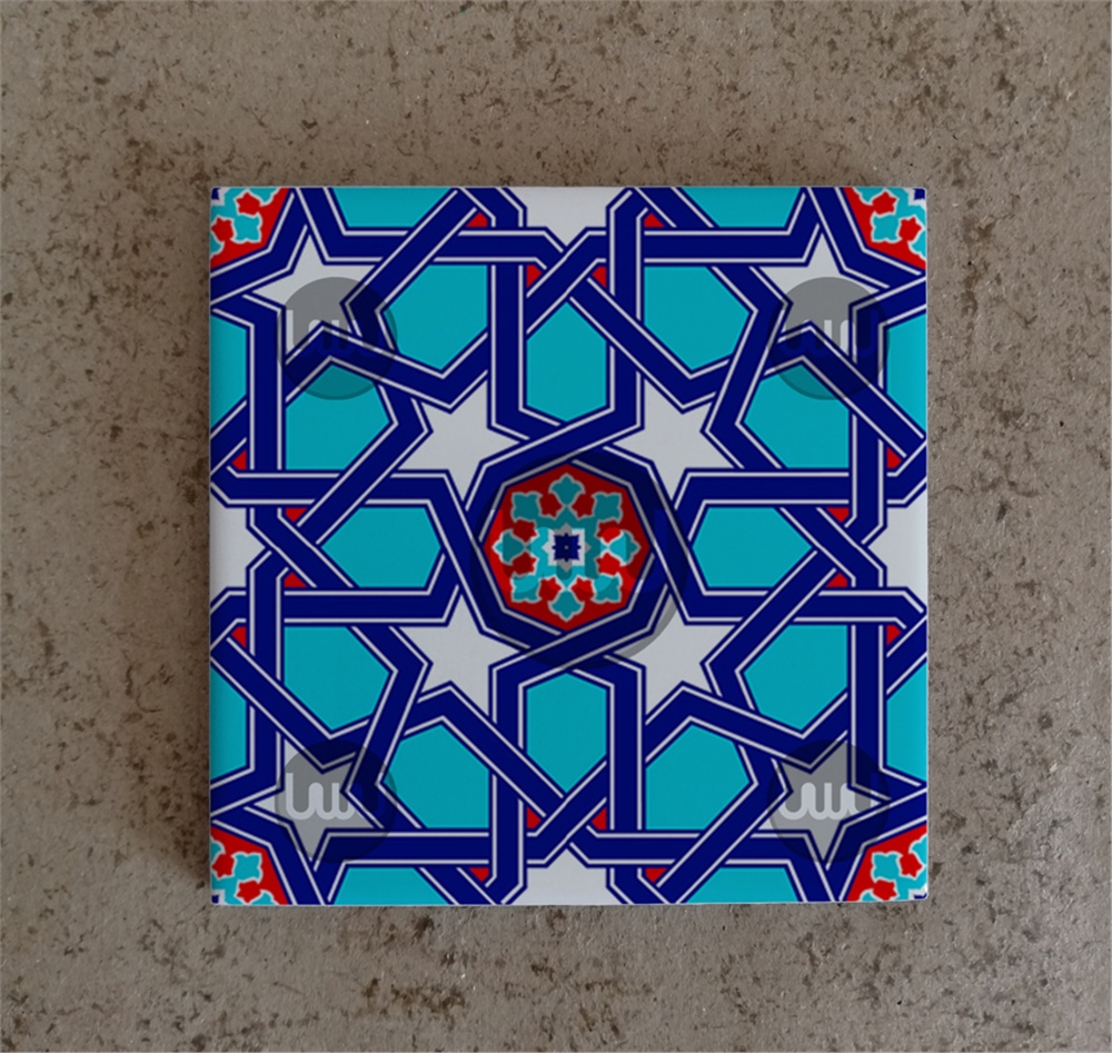 20 X 20 Çini Karo Katalog Kodu V4