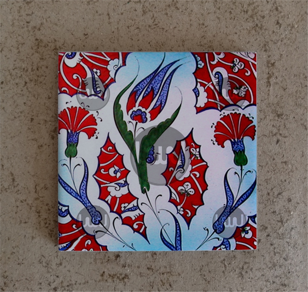 20 X 20 Çini Karo Katalog Kodu VV8