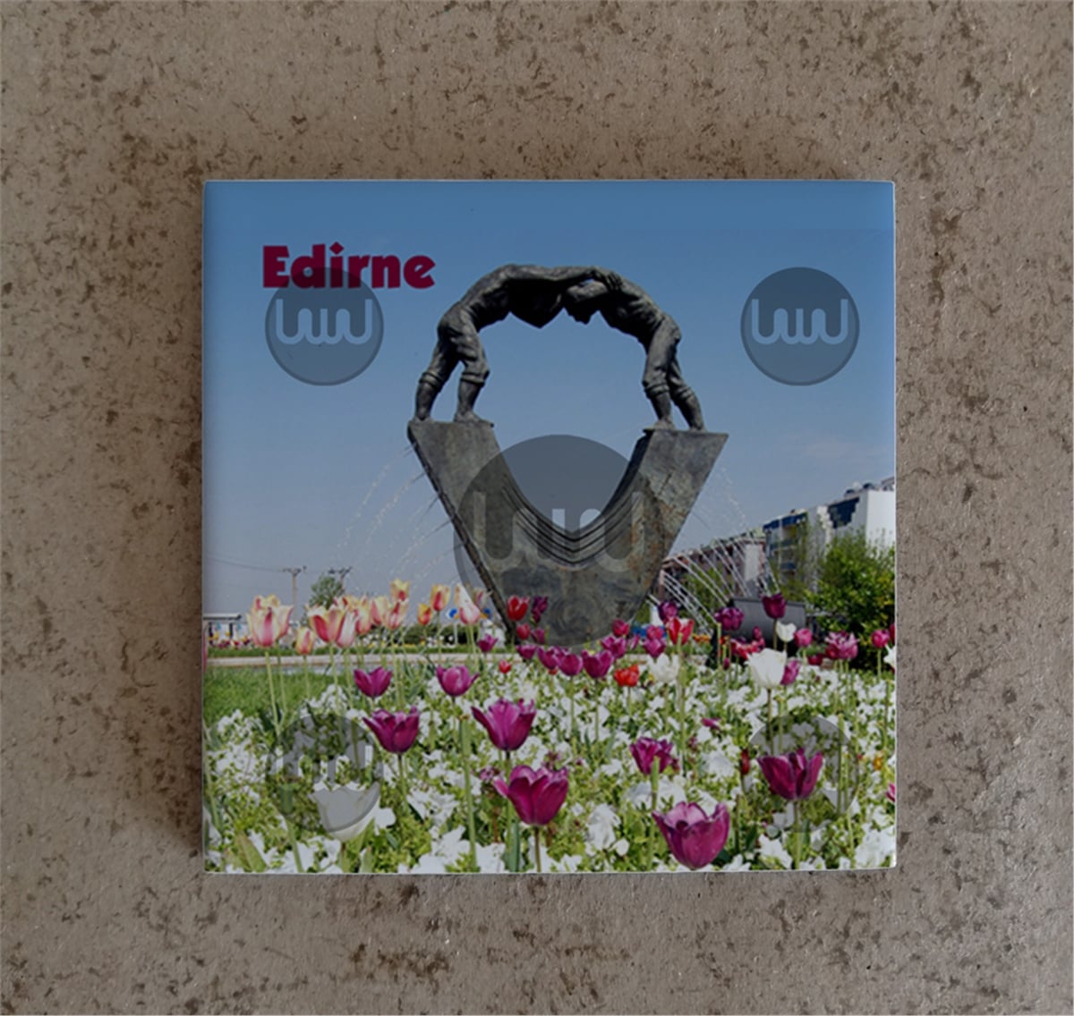 EDİRNE KOD 21