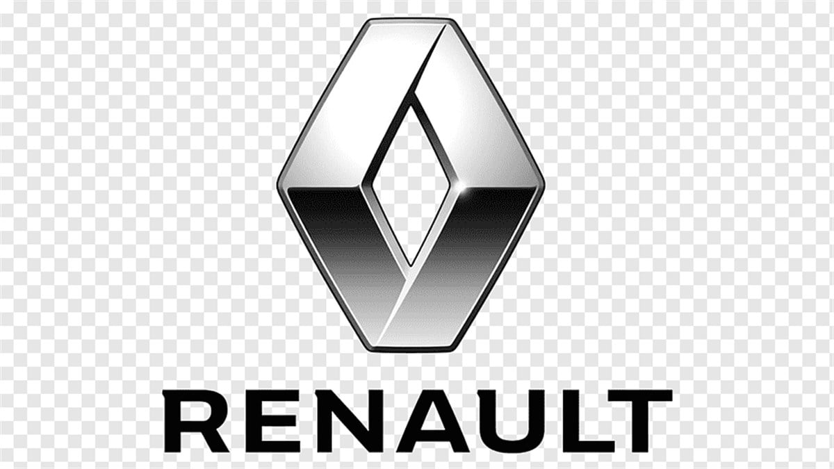 DYO RENO & RENAULT OTO BOYASI 1 KG