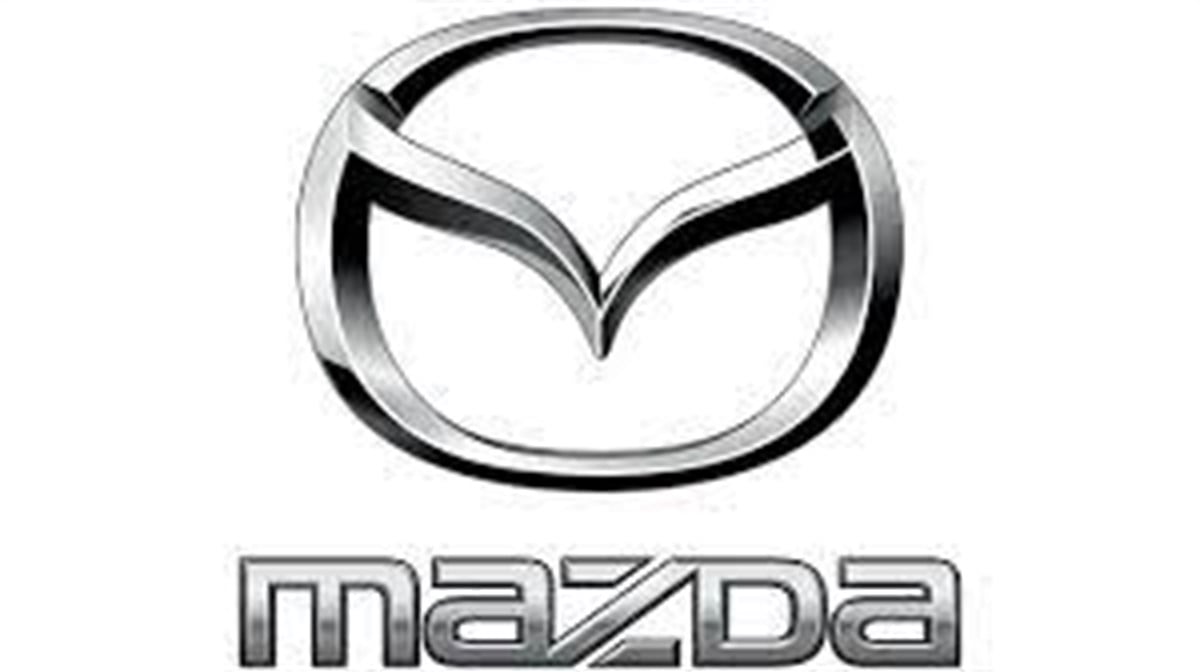 DYO MAZDA OTO BOYASI TÜM RENKLER 1 KG