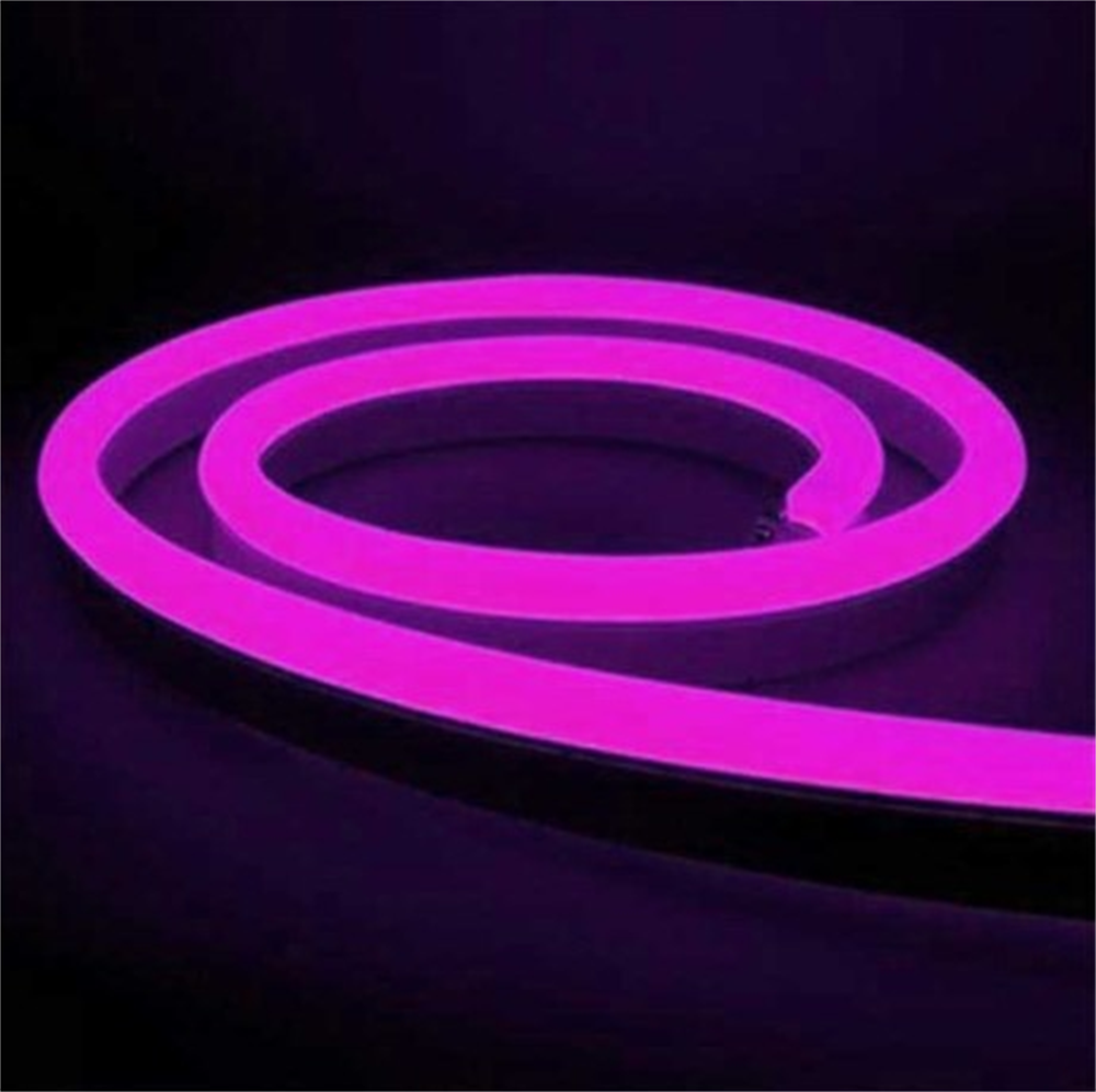 Cata Neon Led Hortum 12V 5Mt Dış Mekan Pempe CT-4555