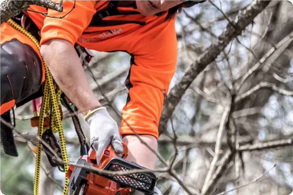 Husqvarna T525 Benzinli Dal Budama Testeresi