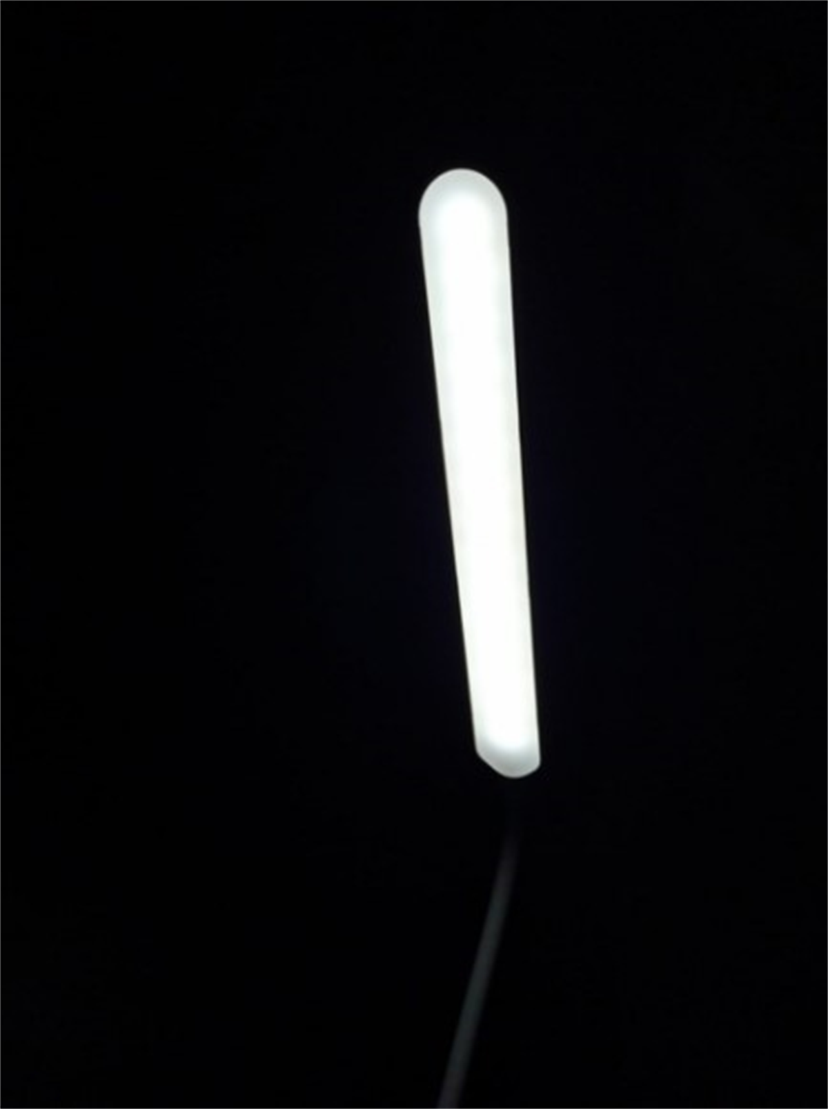 Wınnboss Masa Lambası 1901