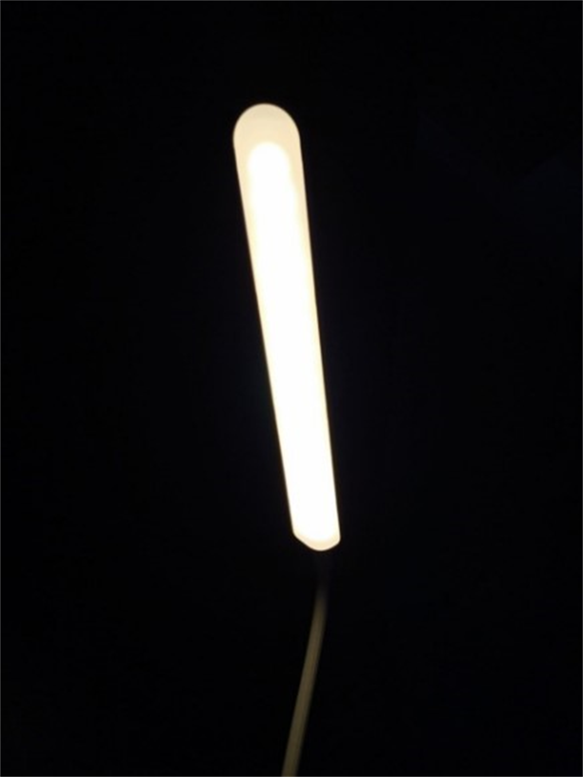 Wınnboss Masa Lambası 1901