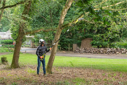 Ryobi RPP182015S 18V 1x 1.5 Ah Li-Ion Akülü Yüksek Dal Budama Makinesi 5133003721