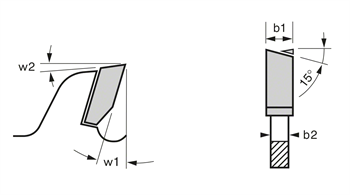 Bosch Daire Testere Bıçağı 300x 2,5/1,8x30mm 100 Diş