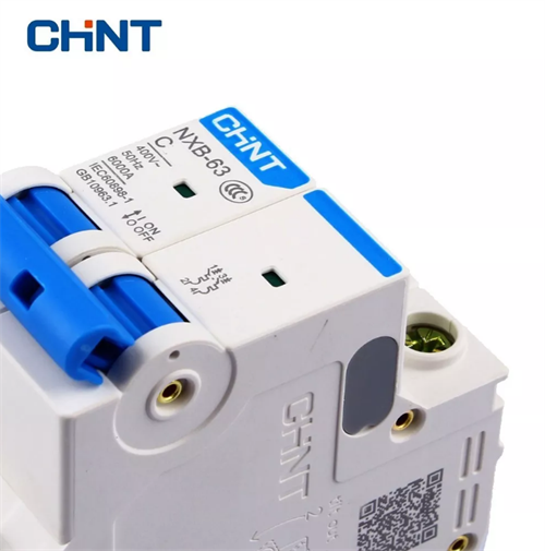 Chint W Otomat 2P C40 6KA NXB-63 814096